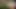Edepsiz sarışın baştan çıkarıcı kadın yarak emiyor ve sera zemininde domalarak sikiliyor