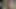 She tasted sperm when her stepbro cum in her hot mouth