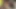 Siyah iç çamaşırlı esmer travesti daha önce şişman bir yarağı emiyor