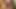 Göt anal vibe seksi ateşli pembe tanga mavi büyük göt