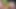World Cup, Brazil, Hentai, Concentration sex, Animation, Bukkake, Artificial Intelligence, brazilian funk, bikini, uncensored