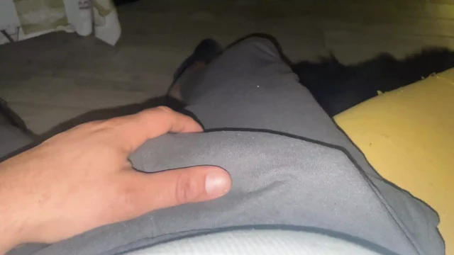 Каждое утро, та же история