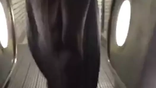dfdf