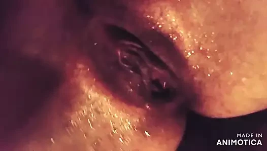 Oyuncak sıcak amatör kedi