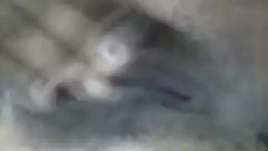 18 yaşında - hey baba! bu senin için - kedicik