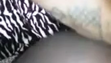 Adamı tuzağa düşerken dükleri geri püskürtüyor