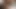 Askeri lezbiyenler birbirlerinin amlarını yalıyor ve sikiyor