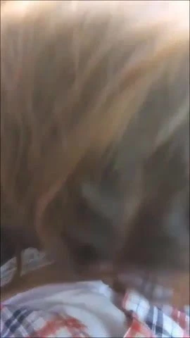 Türk sürtük orta yaşlı seksi kadın ormanda açık havada halka açık türk evli aldatıyor