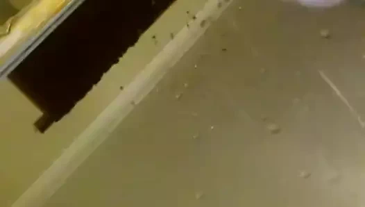 Luscioustreams n ıslak rüyalar