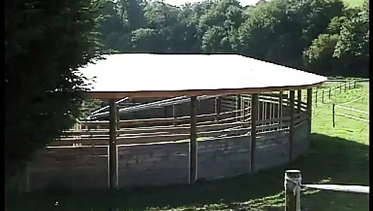 İki fahişe kıçından sert alıyor