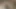 Naturalchris ve Co tarafından ateşli amatör derleme
