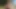 Fakehub Originals - Fakehub Editors Choice Derlemesi