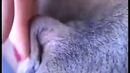 Aşk büyük klitoris 1