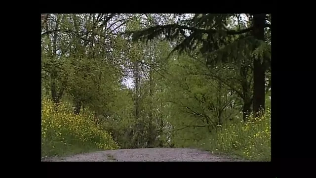 Misyoner xxx possibile - (full hd orijinal film versiyonu