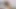 Büyük memeli ve götlü latin üvey kız kardeşler büyük zenci yarağı üvey babasıyla amatör üçlü seks yapıyor