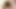 Nikki montero ve priscilla lezbiyen pov