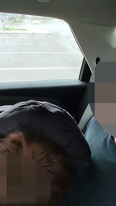 Dick flash - Öğretmen, öğrenciyi arabada 31 çekerken yakaladı ve boşalmama yardım etti - MissCreamy | Klip 1