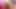 Muhteşem genç kız pornoya mastürbasyon yaparken yakalandı