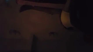 Hmong guys fucking Chinese girl parlor