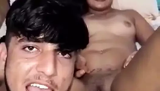 yalama lezzetli kedi