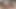 Travesti Alexia Nazario onun için twerk yaptıktan sonra adamın her yerine süt fışkırtıyor