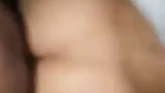 Malezya köpek stili