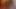 Lezbiyen babes pussyrubbing üzerinde yatak birlikte