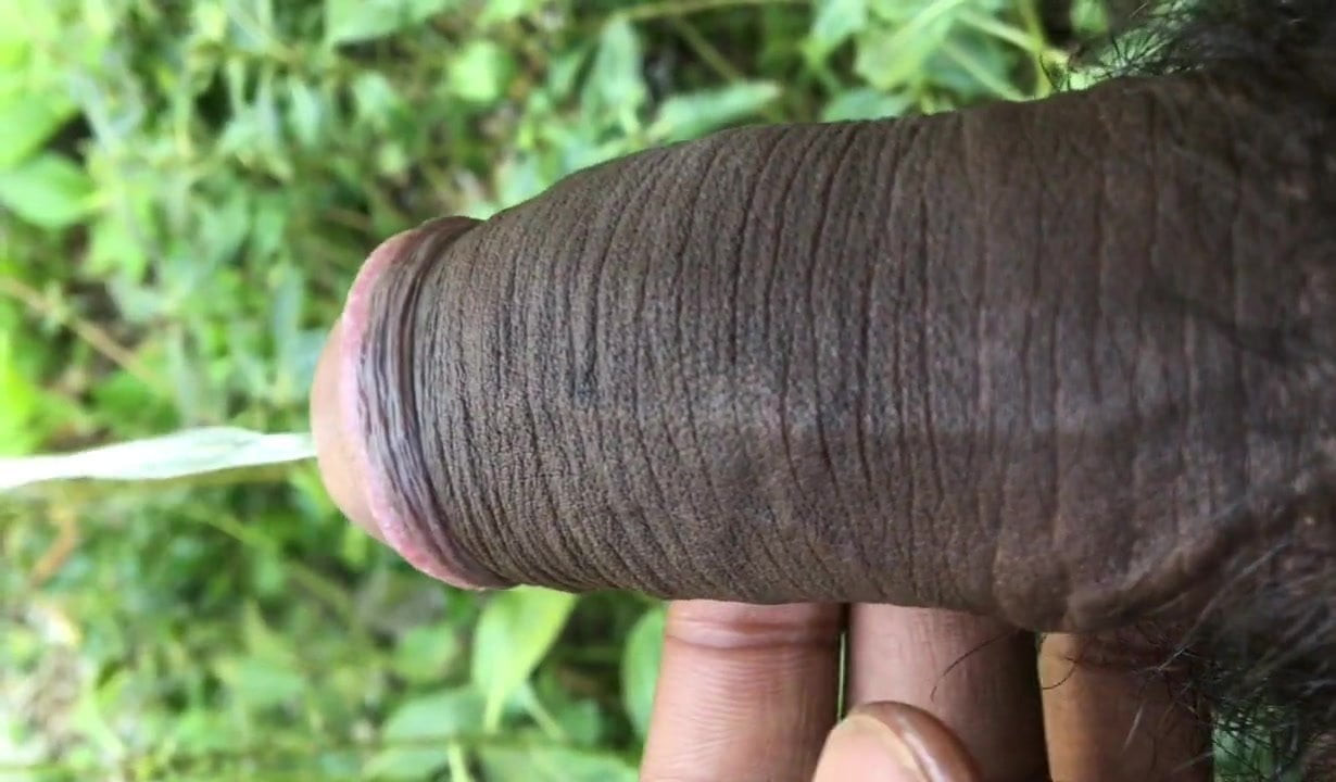 Işeme içinde nature açık jungle işemek bbc horoz