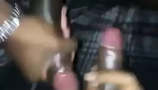 Siyah sopalı kankalar