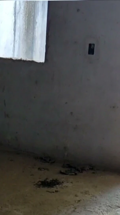 İşemek için sıkı kız terk edilmiş bir binadan giriyor ve büyük yarakla dilenciyle seks yapıyor | Klip 1