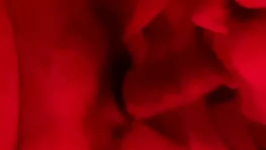 oral seks itibaren fwb