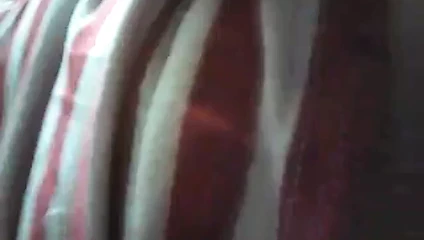 Tracy parmak kedi