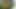 Büyük memeli esmerle açık havada bts fotoğraf çekimi
