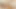 Sologirlsmania dik solo esmer charlie ile genç kedi