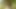 Gier explodiert wenn College-Girls (18+) alles vergessen