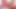 Nina Rivera seksi bir amcık kedisi olarak dildosuyla oynuyor