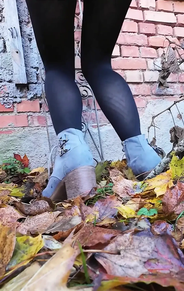 Güzel bir sonbahar günü