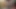 Dört seksi kızla striptiz yüksek kart heyecanlı bir oyun