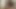 Seksi öğrenci sınava hazırlanırken kedi yalıyor