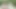 Daisy watts ve amy green - hayvanat bahçesi tenisi fotoğraf çekimi