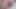 Big beauty fat ass need big beauty fat cock