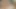 Bisexual Interracial Sex