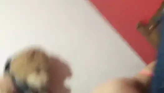 Ardilla biseksüel 2