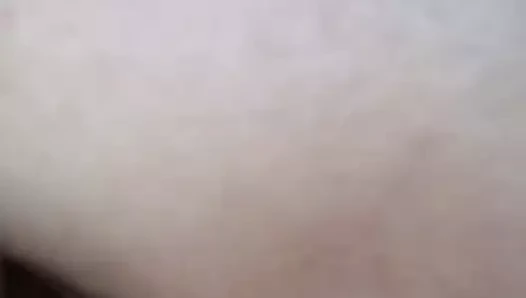 o seviyor onu köpek