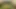 Preston, Kyler'ın dayak yiyeceğini biliyor, bu yüzden elinden gelenin en iyisini yapıyor