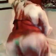 Seksi iri güzel kadın banyoda götünü sallıyor pt.2