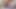 5-)yeni Büyük Meni-canlı Gösteri -türk Büyük Horoz- Kıllı Vücut- Kıllı Horoz- Sperm-erkekler- Kıllı Baba- Ayı-