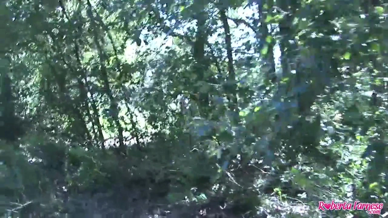 Fucked in the woods