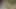 Gerçek amatör Mormon evli kadın ev yapımı videoda büyük dildoyla mastürbasyon yapıyor