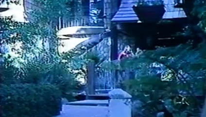 Büyük memeli 41: sert dolgunlar